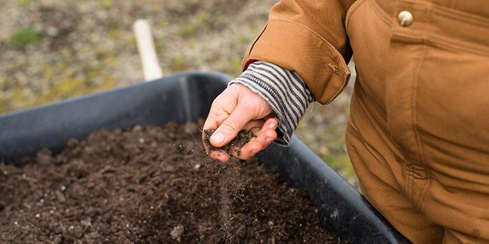 A person touching soil