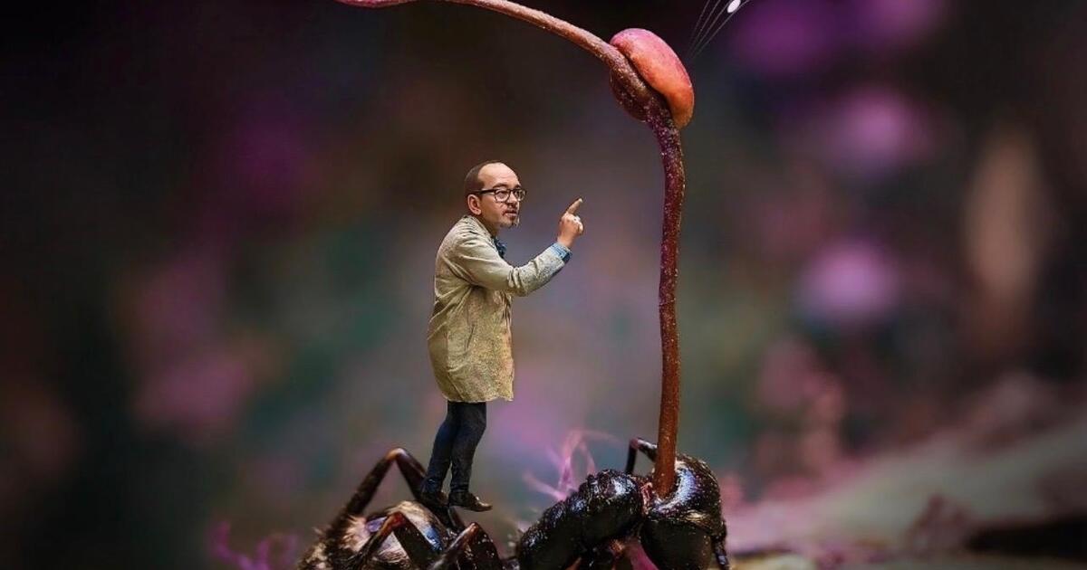 Fantastic Fungi Festival (family)