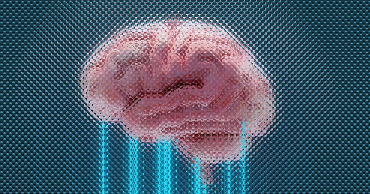 Our idiot brain - 10 years of learning