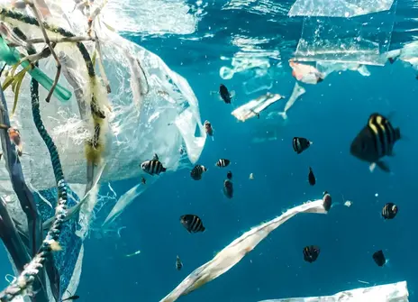 Plastic bag and debris floating in the ocean
