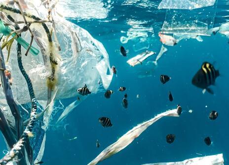 Plastic bag and debris floating in the ocean