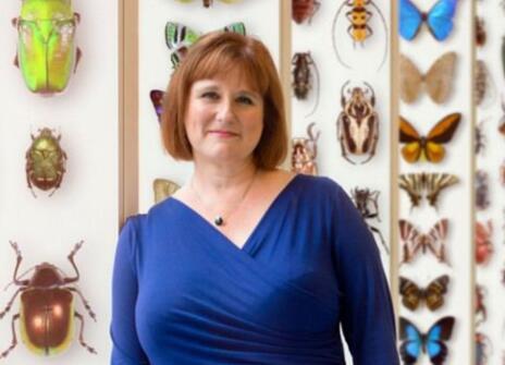 Alison Woollard in a blue drop, standing in front of images of bugs and butterflies