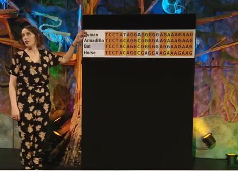 A still of Alice Roberts during his CHRISTMAS LECTURE