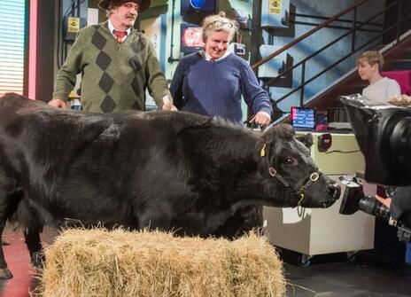 A man and a woman standing behind a cow and a block of hay, inside the Ri theatre