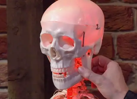 A glowing red plastic skull, with a hand holding the jaw