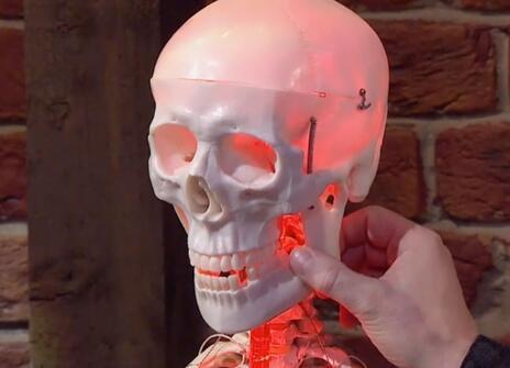 A glowing red plastic skull, with a hand holding the jaw