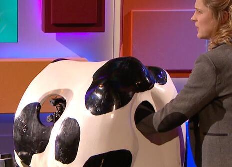 Danielle George putting her hand into the back of a sculpture of a cow