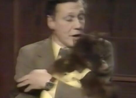 David Attenborough holding a monkey, who is wearing a yellow dungarees