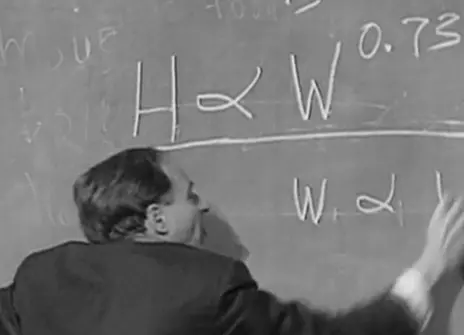 Philip Morrison writing an equation on a chalkboard