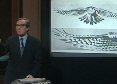 Leonard Maunder in the Ri theatre, next to a projection of a bird drawing