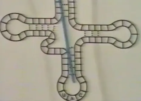 A still from the 1980 CHRISTMAS LECTURES