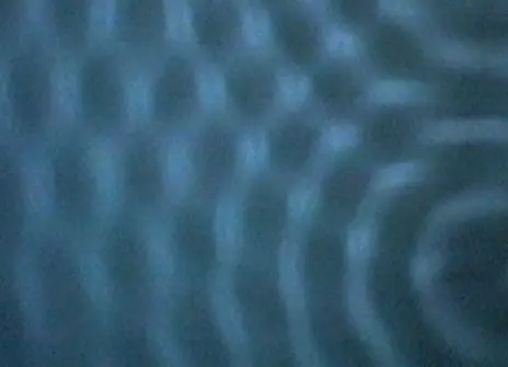 A still from the 1979 CHRISTMAS LECTURE