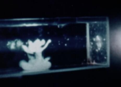 Still of Lawrence Bragg