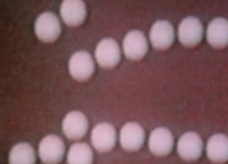 A still from the movement of a magnetic fluid and other film trims archival films 