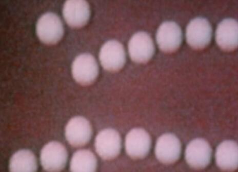 A still from the movement of a magnetic fluid and other film trims archival films 