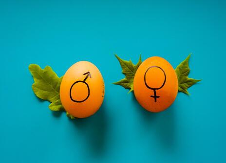 Male and female symbols on two eggs 