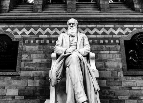Sculpture of Charles Darwin
