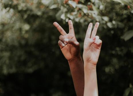 Two hands showing peace signs 