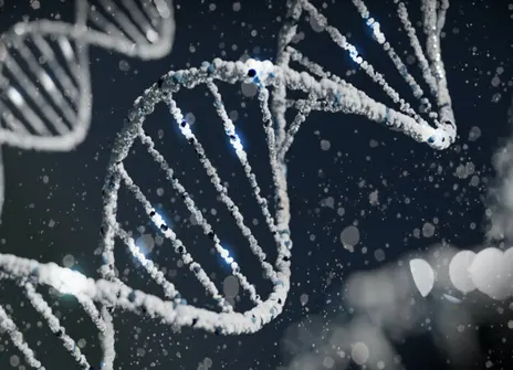 DNA helix