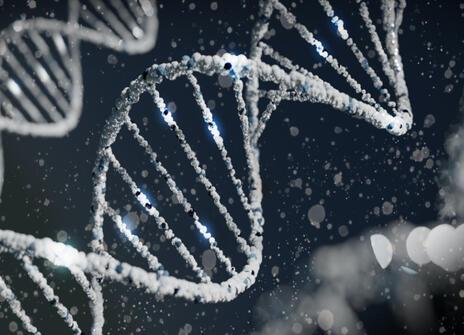 DNA helix