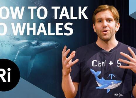 One of the presenters stands in front of an image of a whale underwater. Above it is written 'HOW TO TALK TO WHALES' alongside the logo of the Royal Institution.