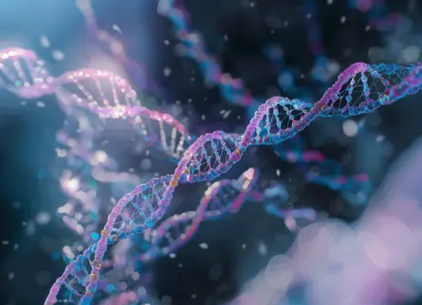 Foto Richter via Pixabay