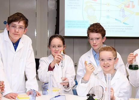 UK Baylab in Reading