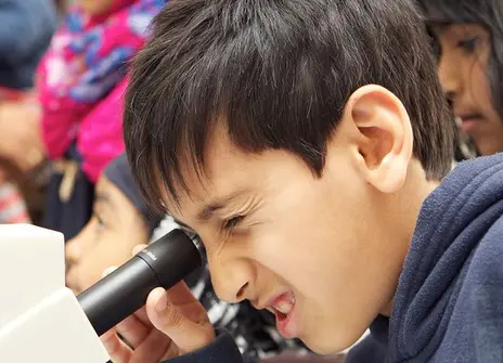Children enjoying a Family Fun Day