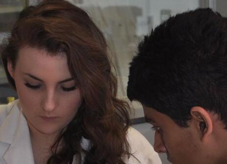 A student analysing DNA to investigate the evolution of taste.