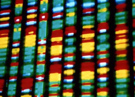DNA representation Credit: Andy Leppard via Flickr