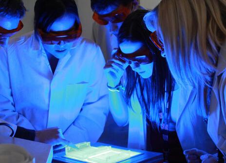 Students taking part in a bacterial evolution workshop in the L'Oréal Young Scientist Centre.