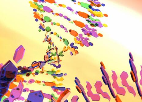 DNA. Credit: sicklizard on Deviantart