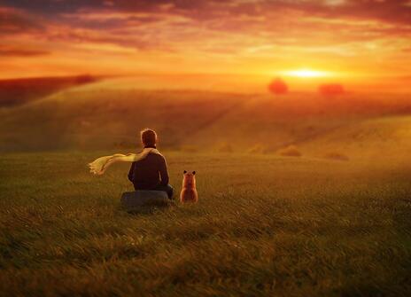 Image depicting people looking into the sunset