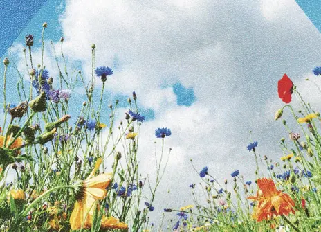Image of flowers and clouds