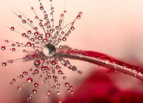 Abstract Image