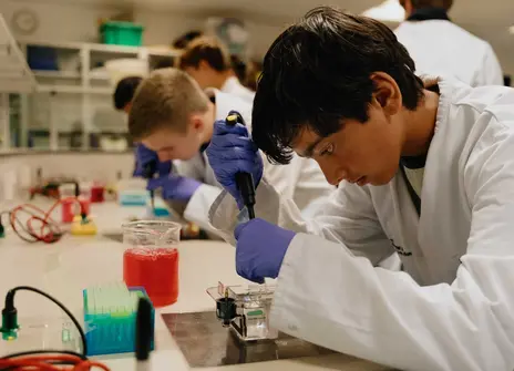 Participants concentrating while using pipettes in a lab