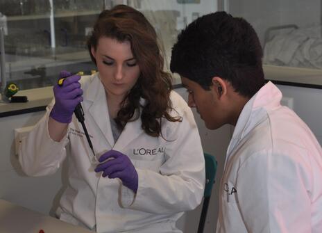 Students pipette samples
