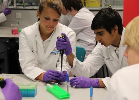 Two students using a micropipette