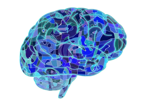 A stylised brain with computer chip markings on top of it. 