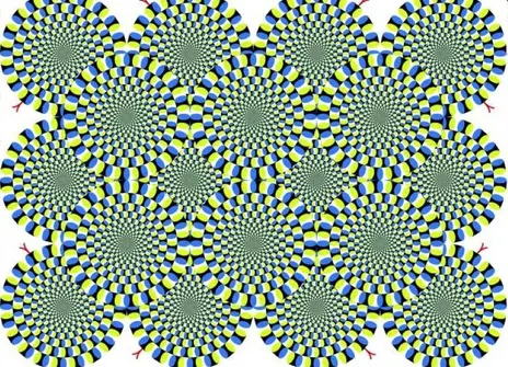 Illusion where concentric circles look like they are moving