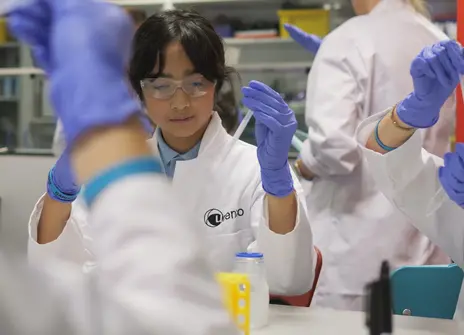Young sciencists in the UYSC