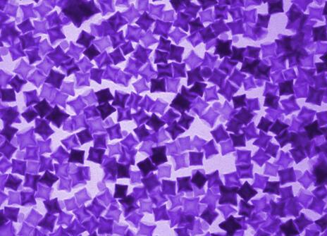  magnetic cobalt ferrite nanoparticles. tiny purple squares overlapping.