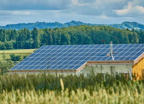 A house in the countryside with a roof filled with solar panels
