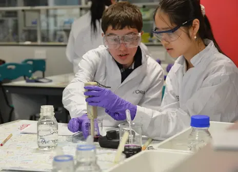 Students make colour using fruit peel