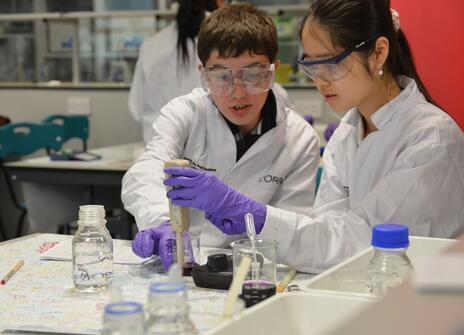 Students make colour using fruit peel