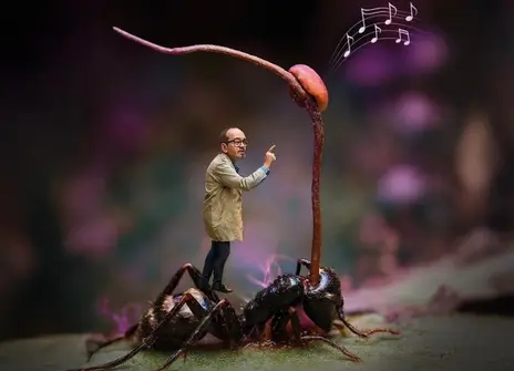 Picture of a man riding on the back of an ant