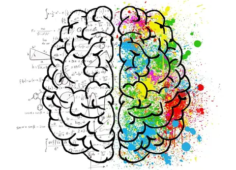 Brain with one colourful hemisphere 
