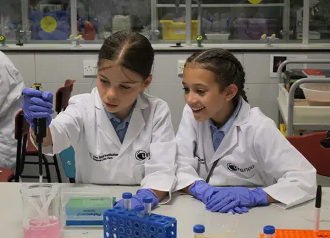 Two participants who are using pipettes in a lab