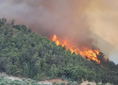 forest fire from a distance