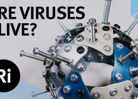 Are Viruses Alive? - with Carl Zimmer